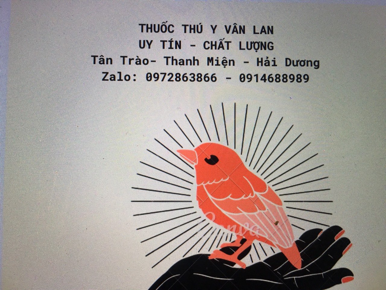Thuốc diệt muỗi Perme UK 50EC ( 1 chai 1lít)