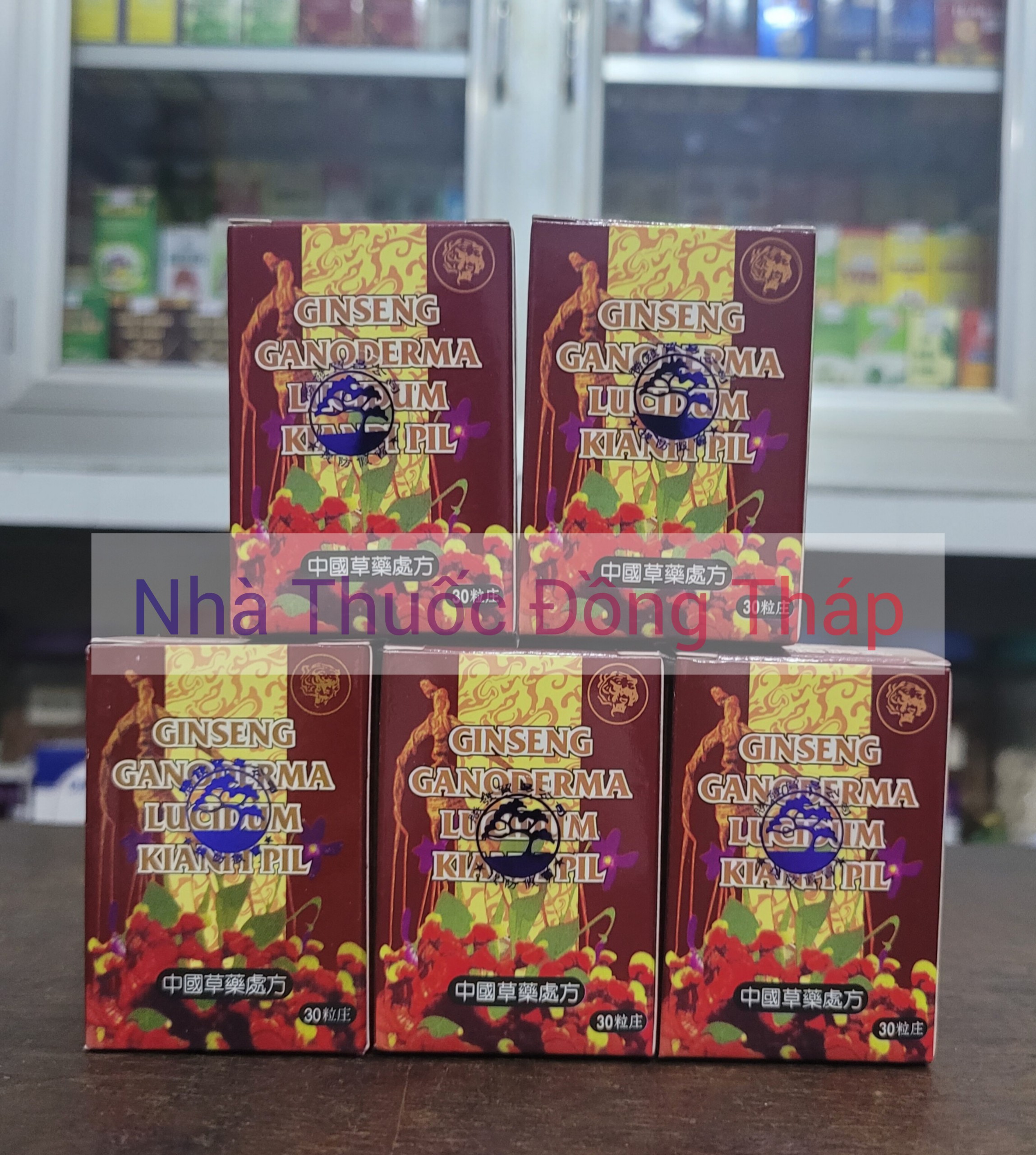 Nhân Sâm Linh Chi Kiện Tỳ Hoàn GINSENG GANODERMA LUCIDUM KIANPI PIL