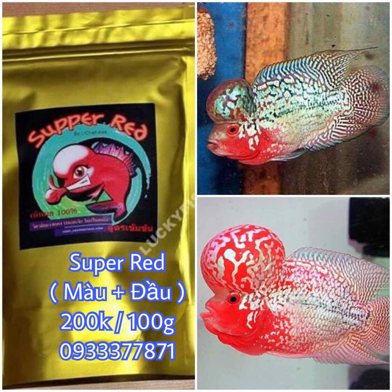 Thức ăn cho cá la hán cao cấp Super Red 100g lên màu và đầu hiệu quả cao - Cám la hán - Hàng Công Ty