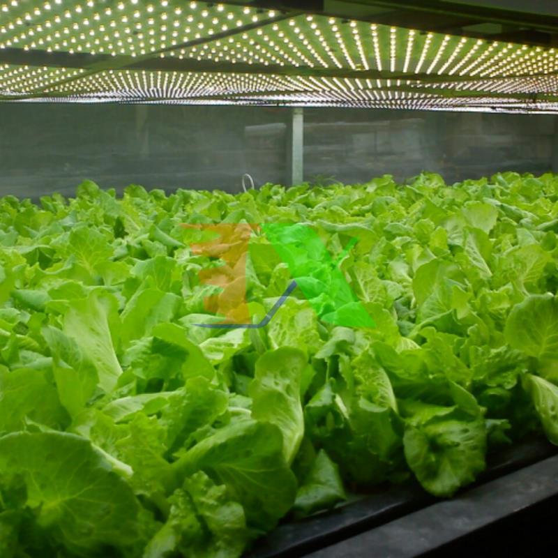 Led grow light MDA225A