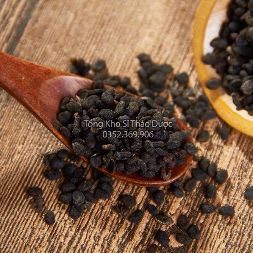 Phá Cổ Chỉ (Bổ Cốt Chỉ) 100g