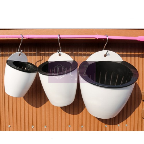Chậu Treo Tường Trồng Cây Thuỷ Sinh [Kèm Dây & Móc Treo]