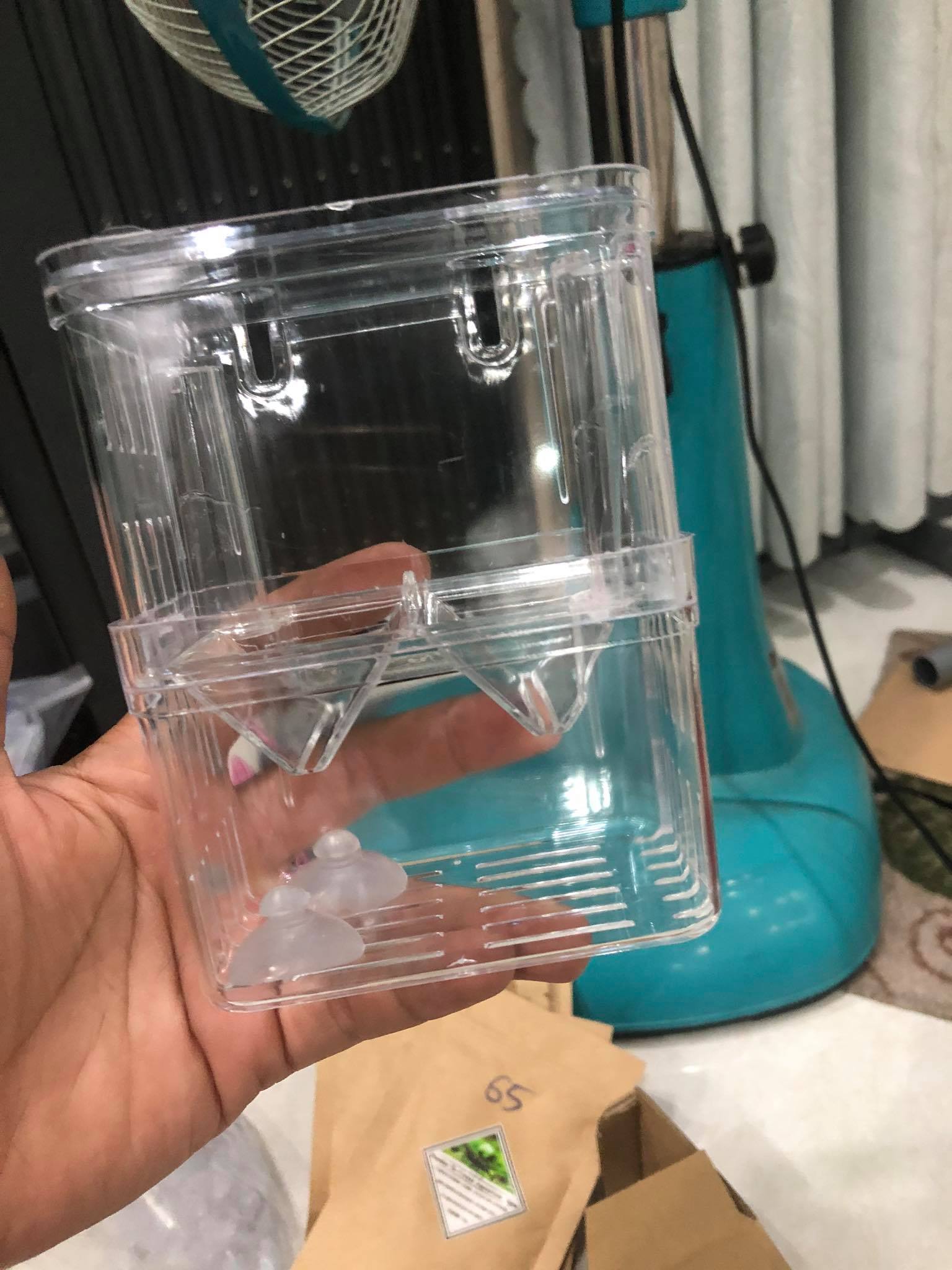 [HCM]Lồng đẻ MICA đơn cho cá 7 màu
