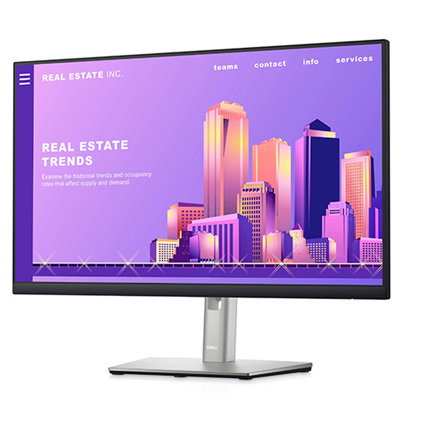 Màn Hình Dell P2422H (23.8 inch - FHD - IPS - 60Hz - 5ms - DisplayPort - HDMI - VGA)