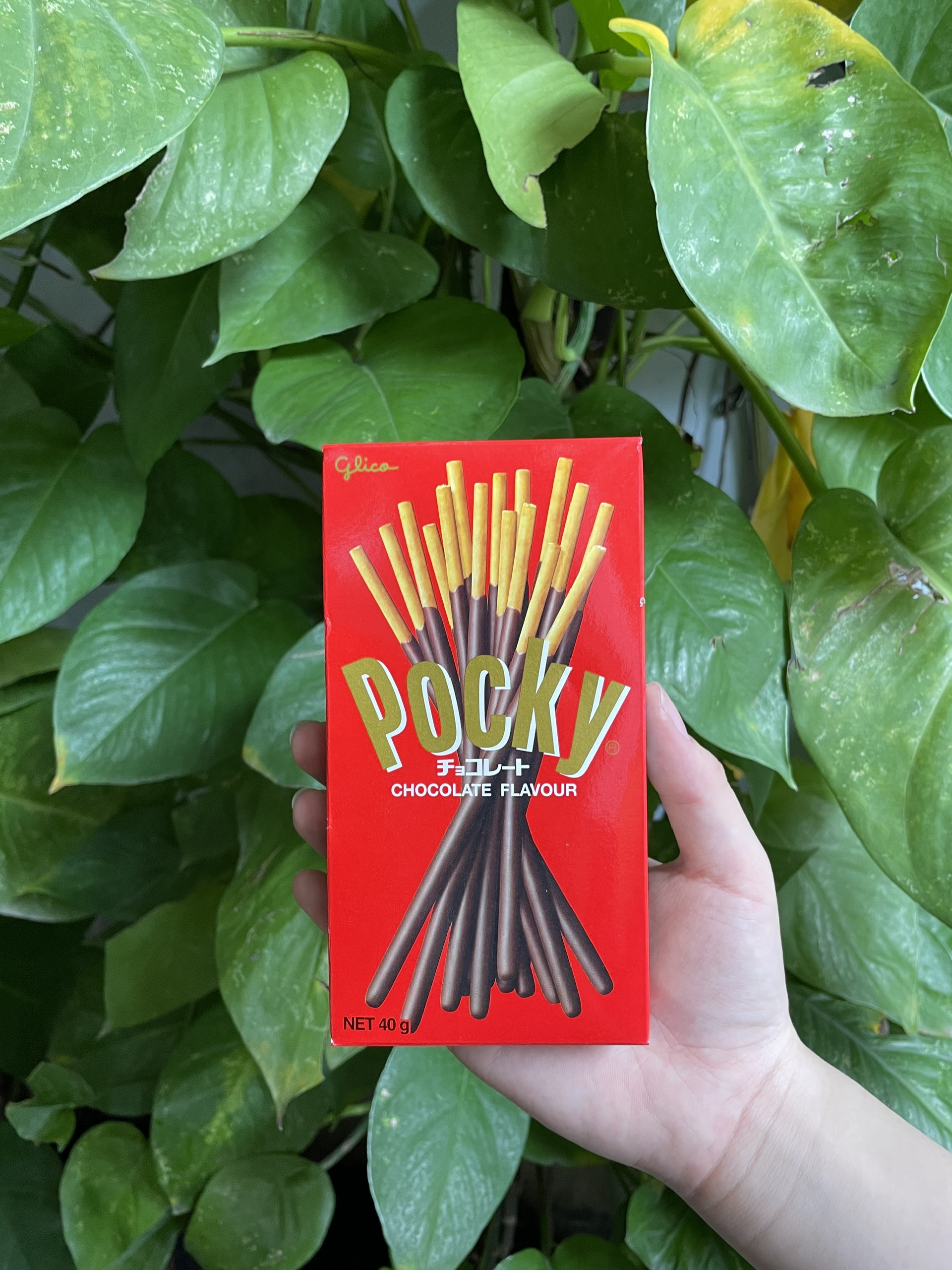 Bánh Que Pocky Kem Sôcôla Chocolate Flavor (Hộp 38g-đỏ)