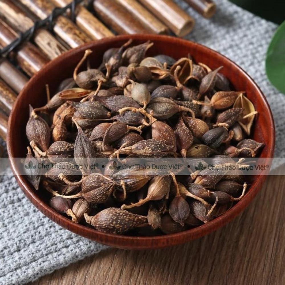 Liên kiều 300g, quả liên kiều, hạ liên tử, khô, thơm, sạch - Chợ Thảo Dược Việt