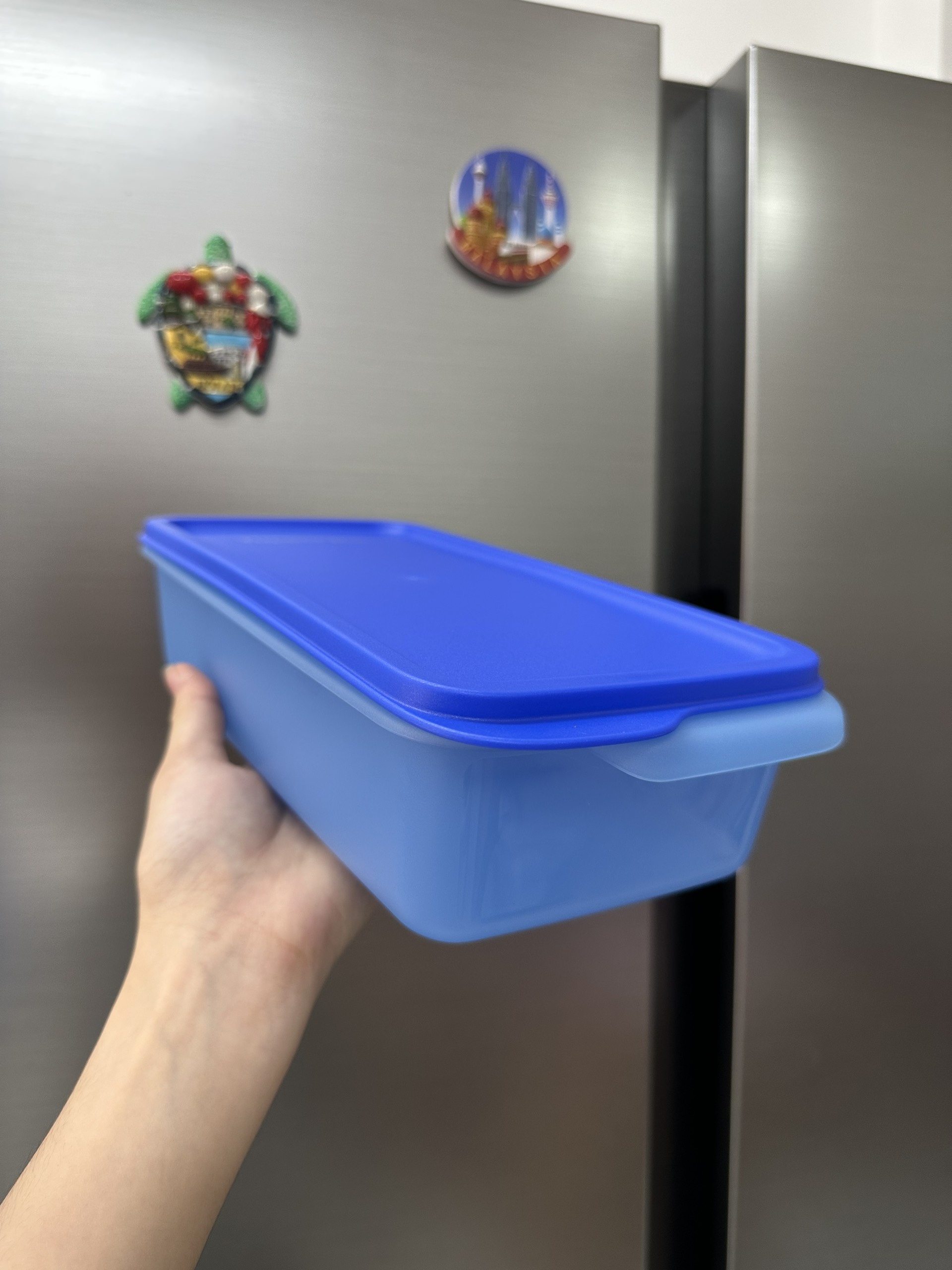 Bộ hộp one touch 750ml TUPPERWARE, nắp 1 nhấn kín khí, kín mùi, giữ thực phẩm lâu