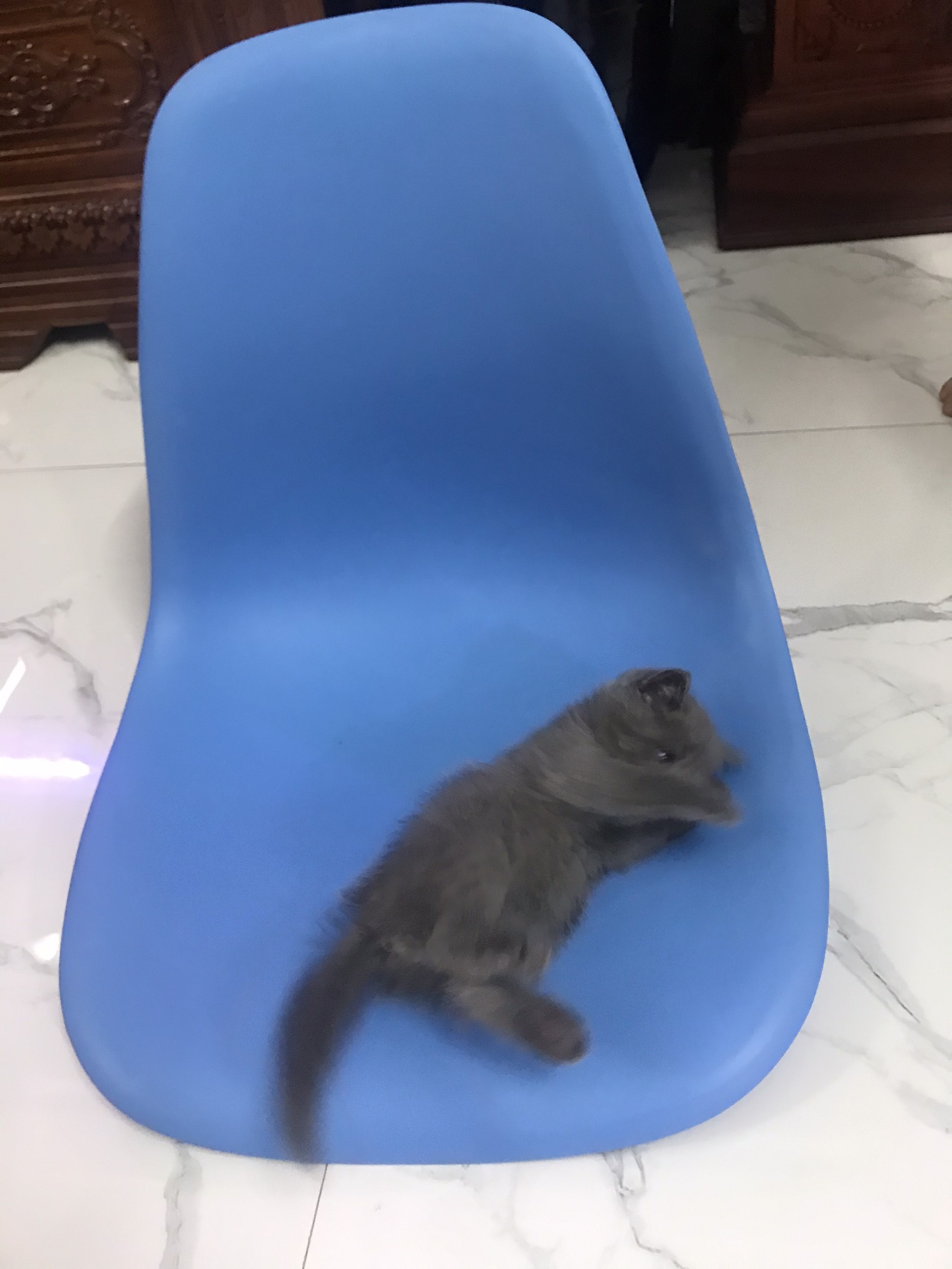 MẶT GHẾ NHỰA EAMES MẶT GHẾ CAFE ĐỦ MÀU