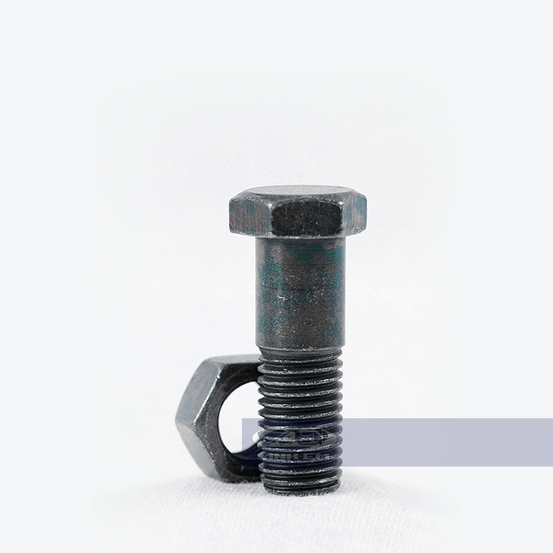Ốc chống nghiêng + tán (RGV) (Apido) - RGV120-0332