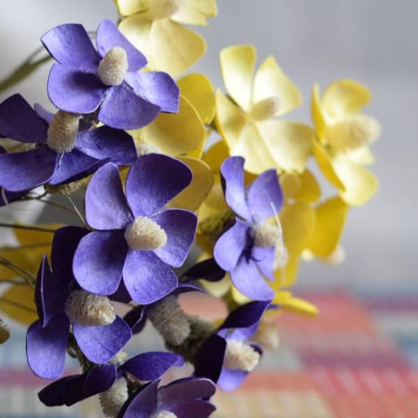 [Mới] - Hạt giống hoa violet  giá rẻ