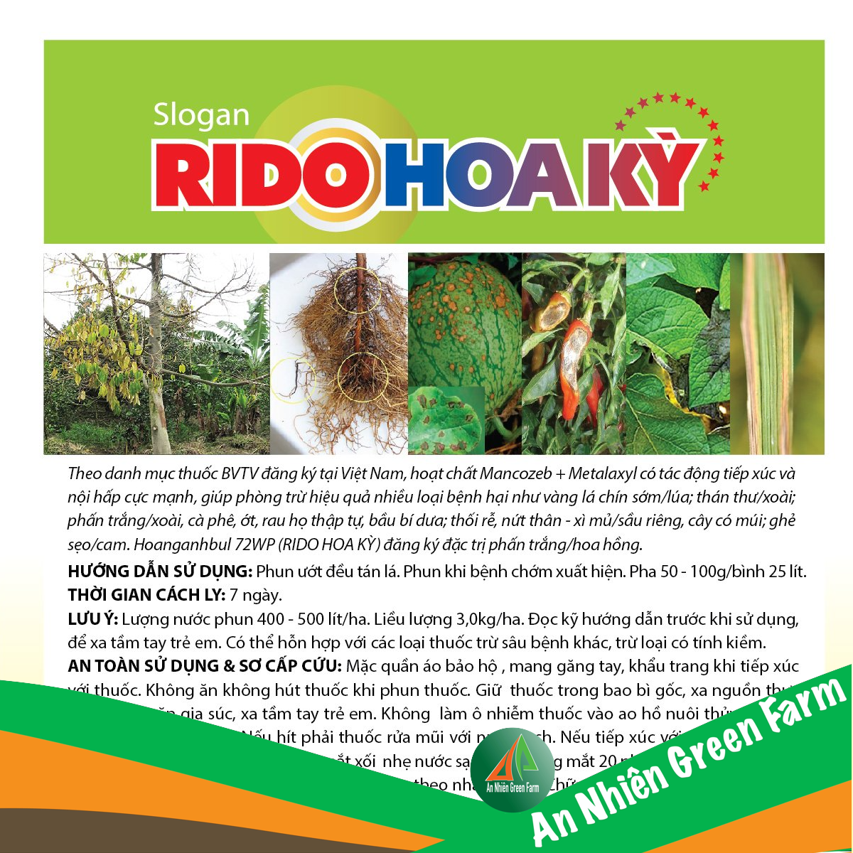 [100gr] RIDO HOA KỲ  SỦI XANH