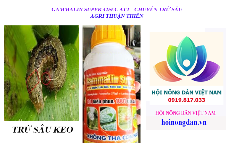 GAMMALIN SUPER 425EC ATT – CHUYÊN TRỊ SÂU RẦY