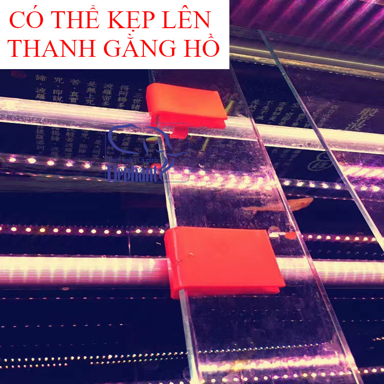 Kẹp đèn T5, T8, T10 cho hồ cá cảnh, cá rồng