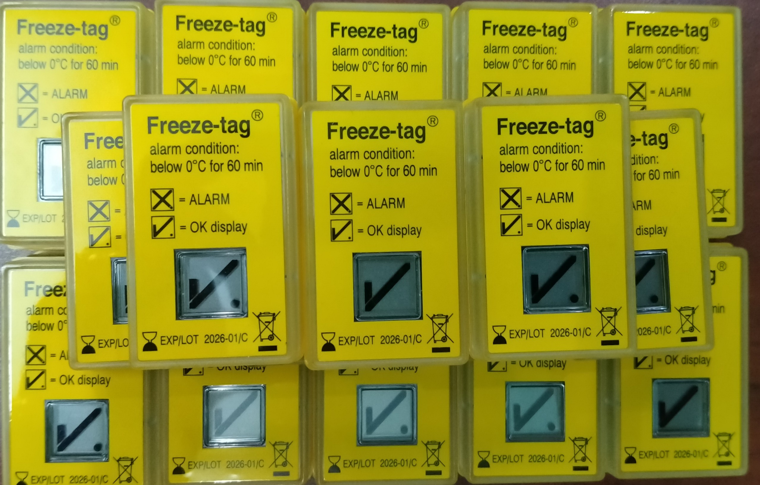 Chỉ thị đông băng điện tử Freeze-tag