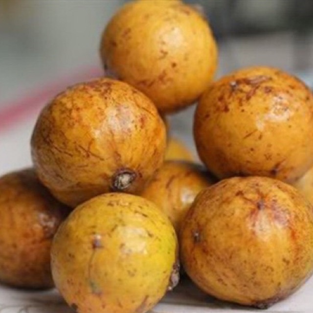 Hạt giống Cây Sấu dể trồng/Gói 5 hạt