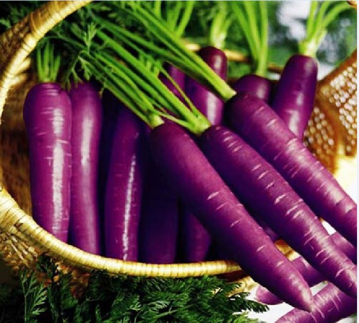 Hạt giống cà rốt tím lai F1 - Gói 100 hạt