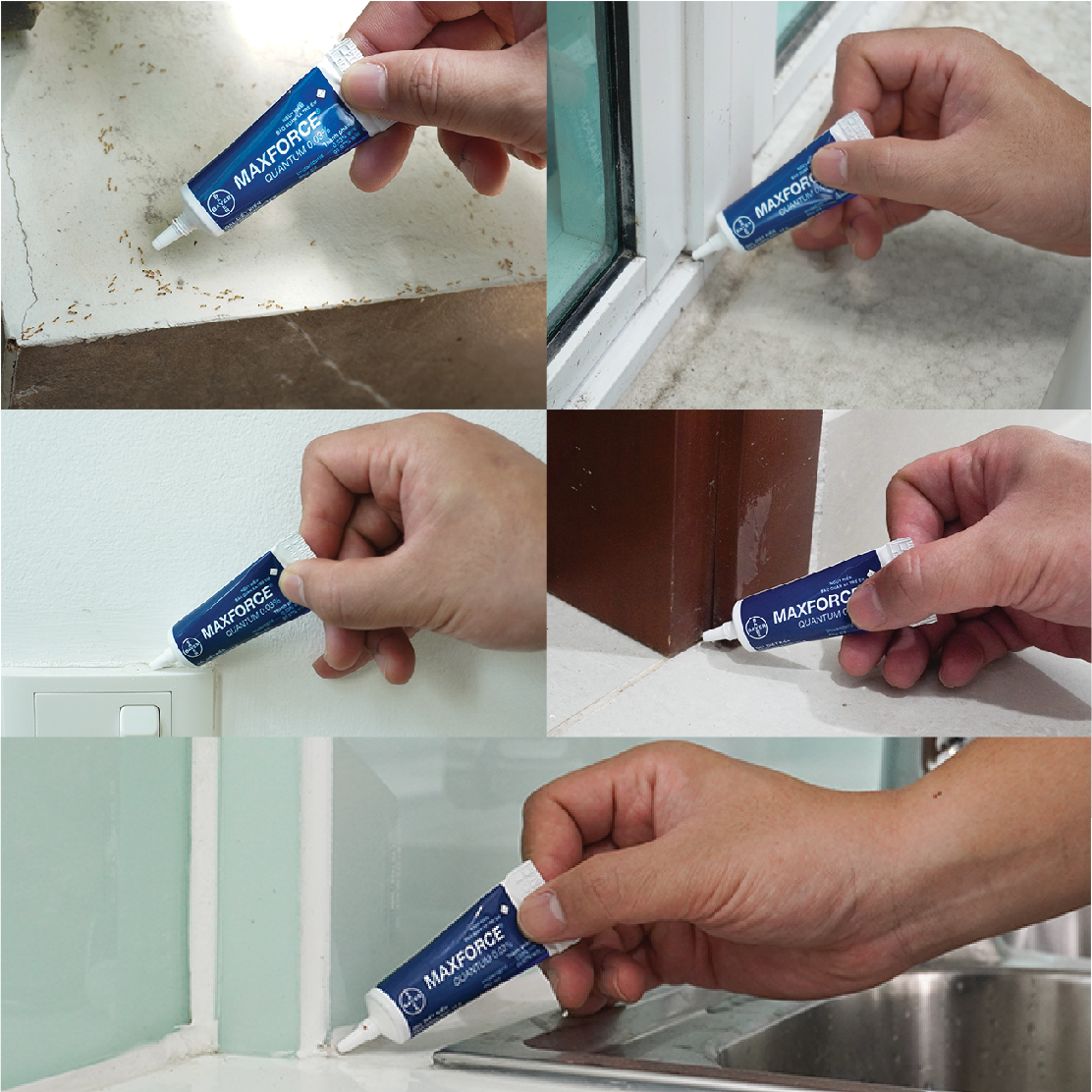 Gel Diệt Kiến Maxforce Quantum Chính Hãng