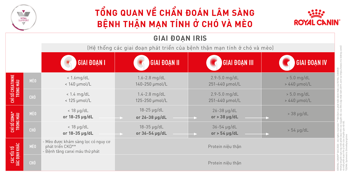 Hạt Khô Royal Canin Hổ Trợ Bệnh Thận Cho Chó RENAL DOG 2KG SUPERPETS VIỆT NAM