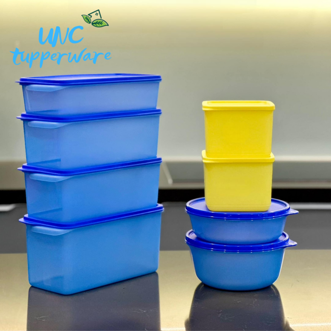 Bộ hộp trữ mát & trữ đông Tupperware Modern Set 16