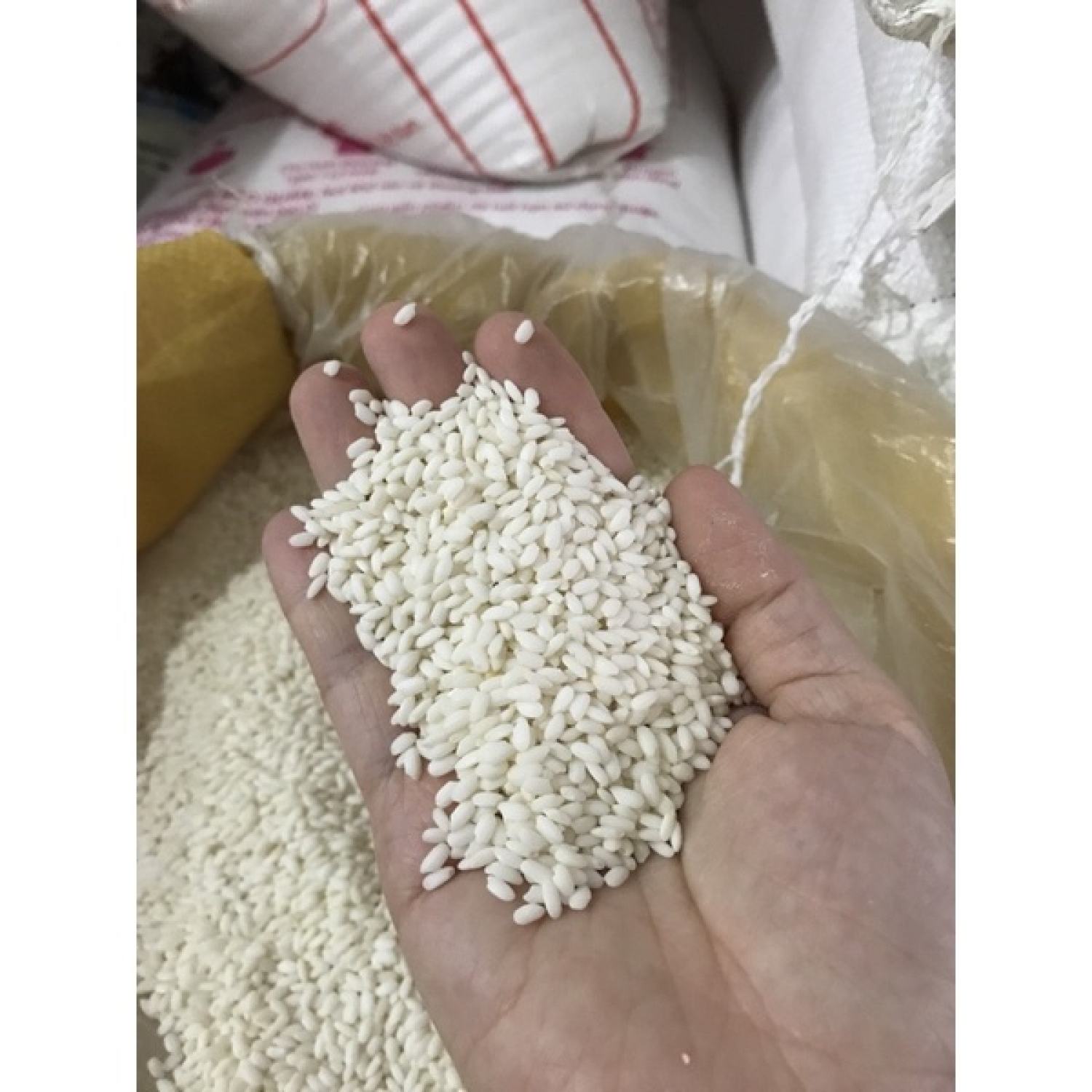 2kg nếp cái hoa vàng dẻo thơm