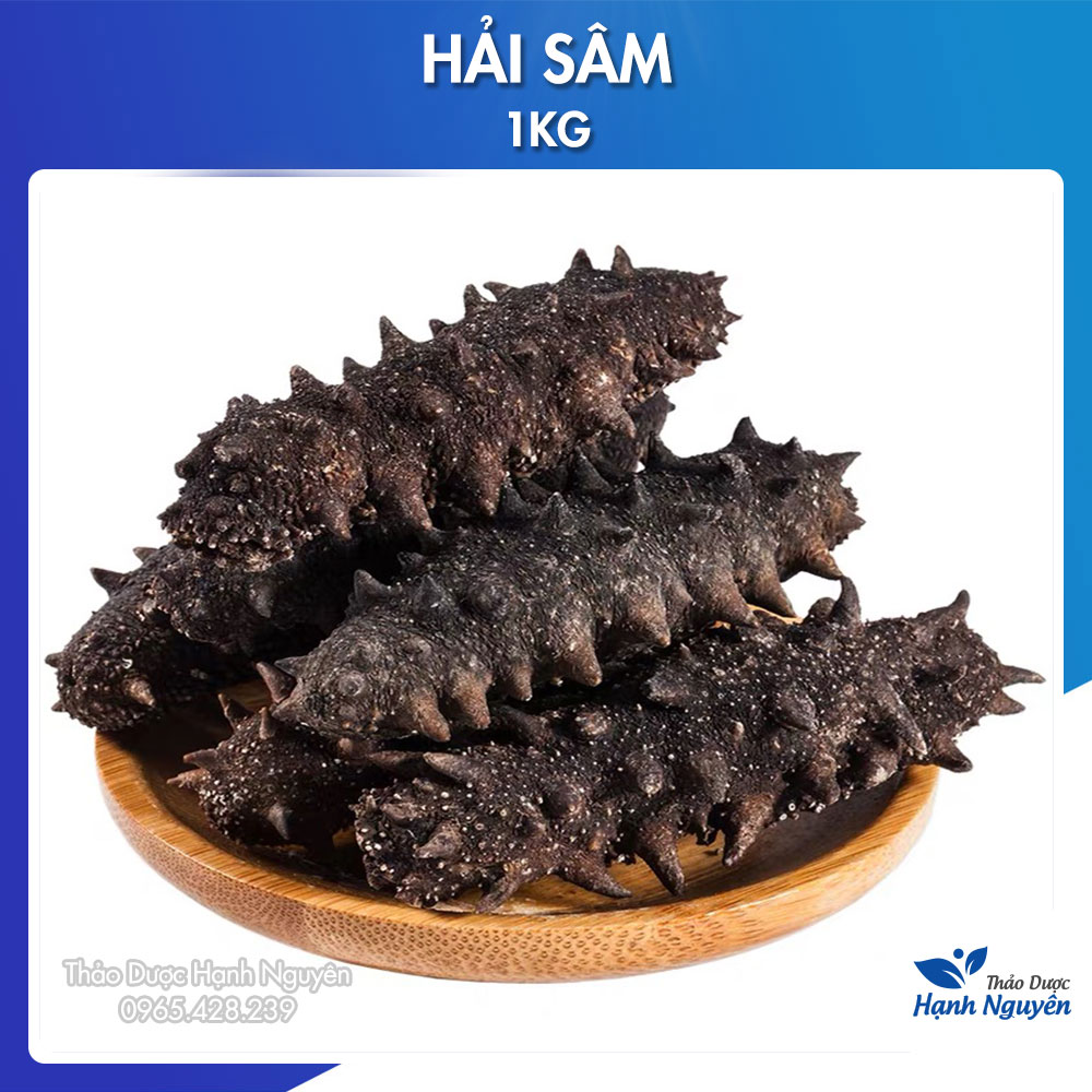 Hải sâm đen khô cao cấp 1kg - Thảo Dược Hạnh Nguyên