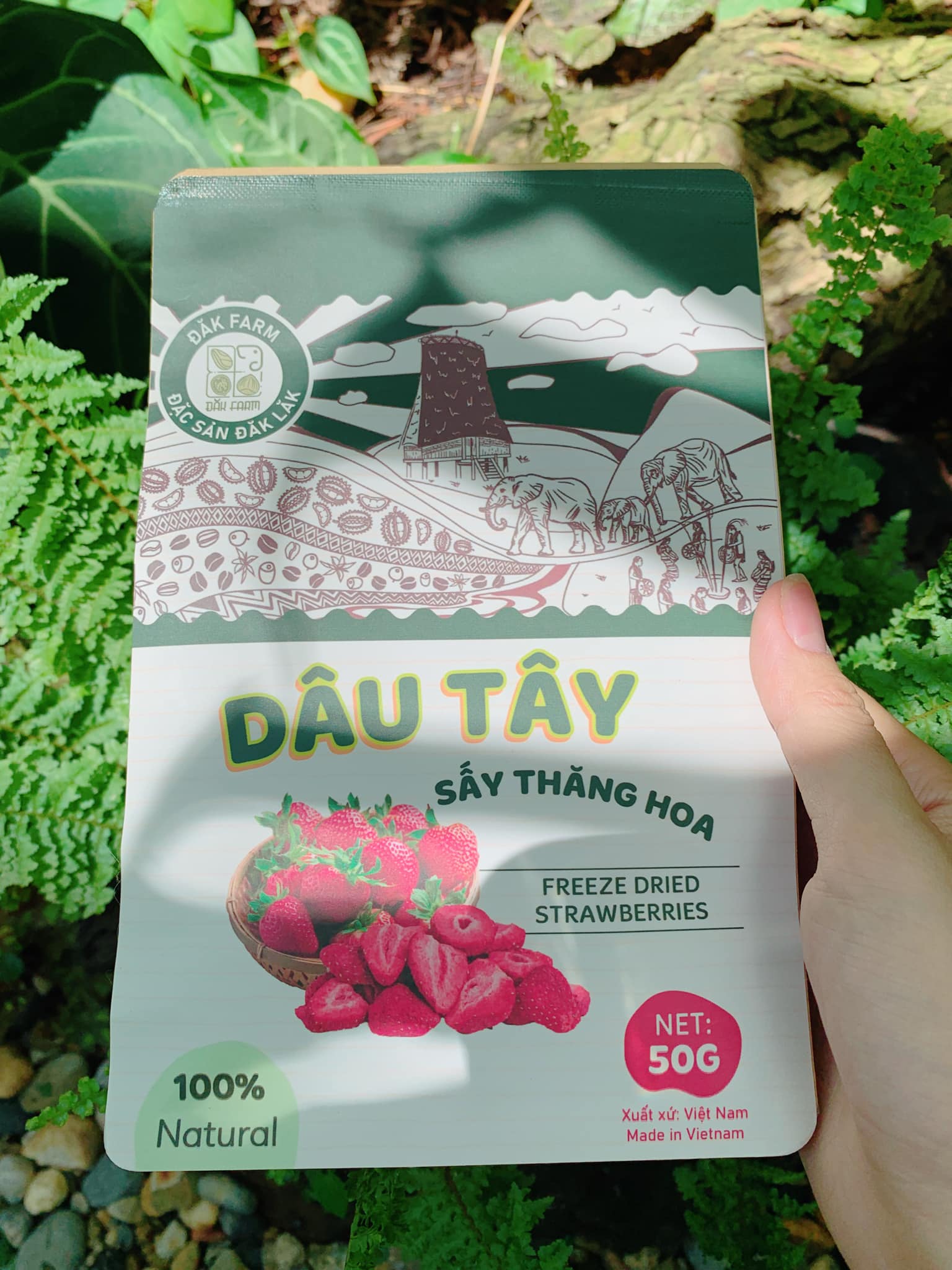 DÂU TÂY SẤY THĂNG HOA - ĐẮK FARM