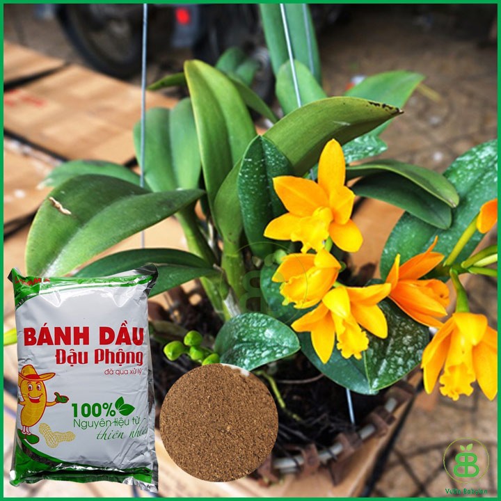 PHÂN BÁNH DẦU ĐẬU PHỘNG 1KG