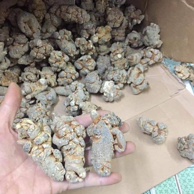 500g củ tam thất bắc khô