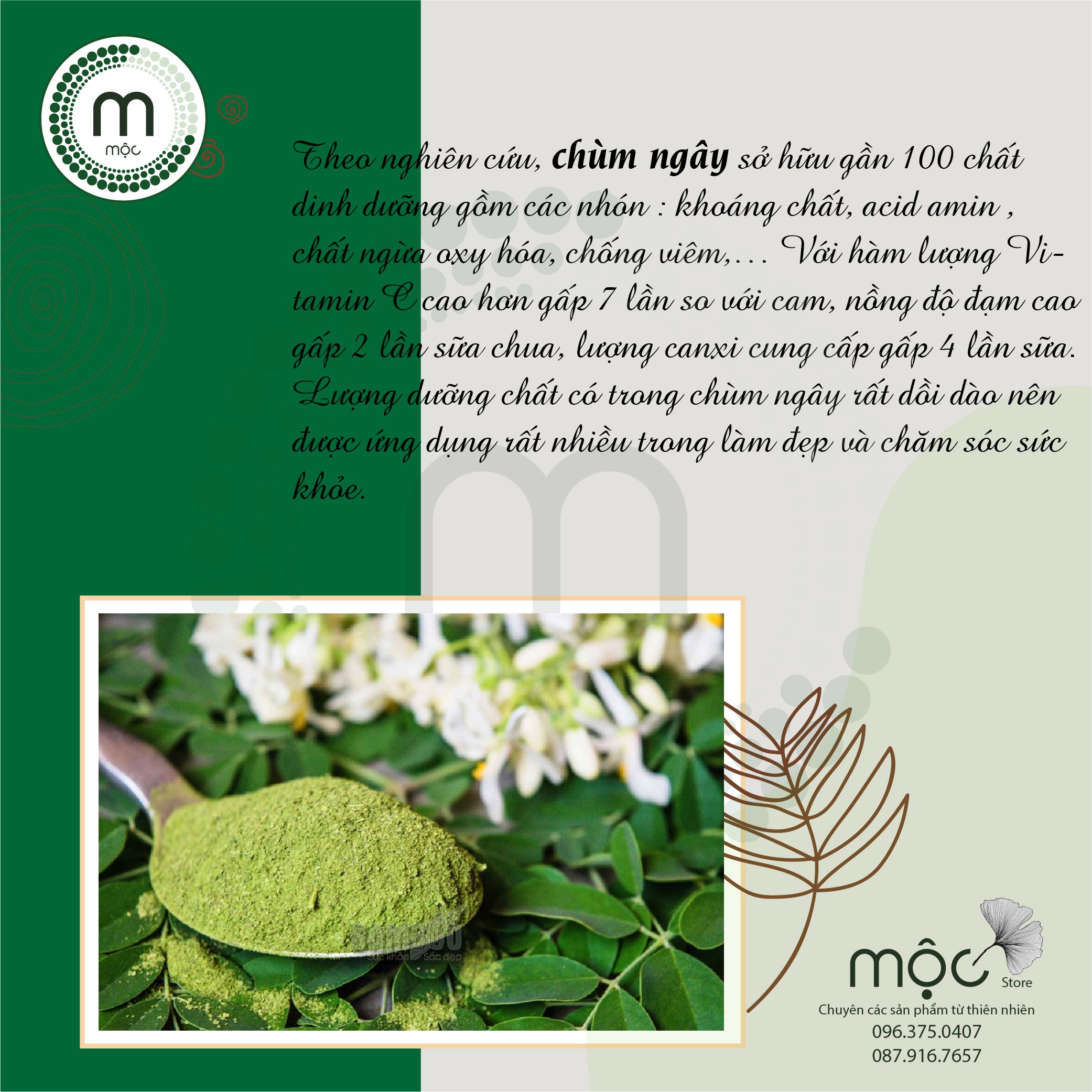 Bột Chùm Ngây nguyên chất MỘC - đắp mặt nạ giảm mụn trắng da mờ thâm tăng cường collagen chống lão hóa túi dùng thử 10g và chai 100ml
