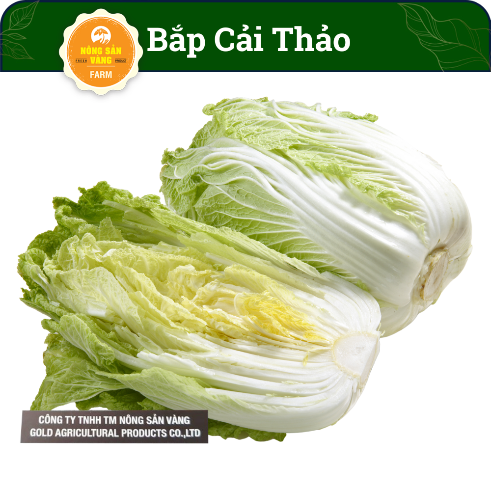 Seeds Chinese cabbage-reformed needle making cost, easy to grow, suitable Climate Vietnam -shallow gold