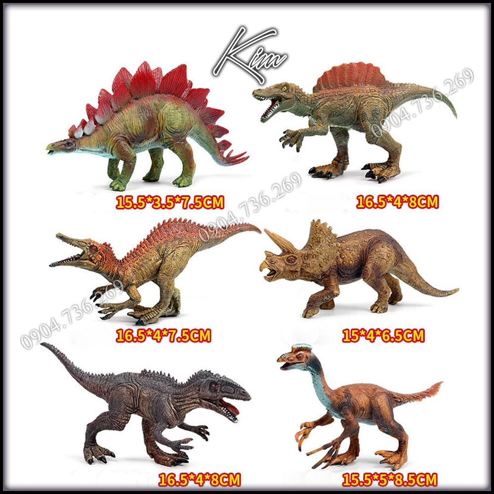 Set 6 model dinosaur pattern 2