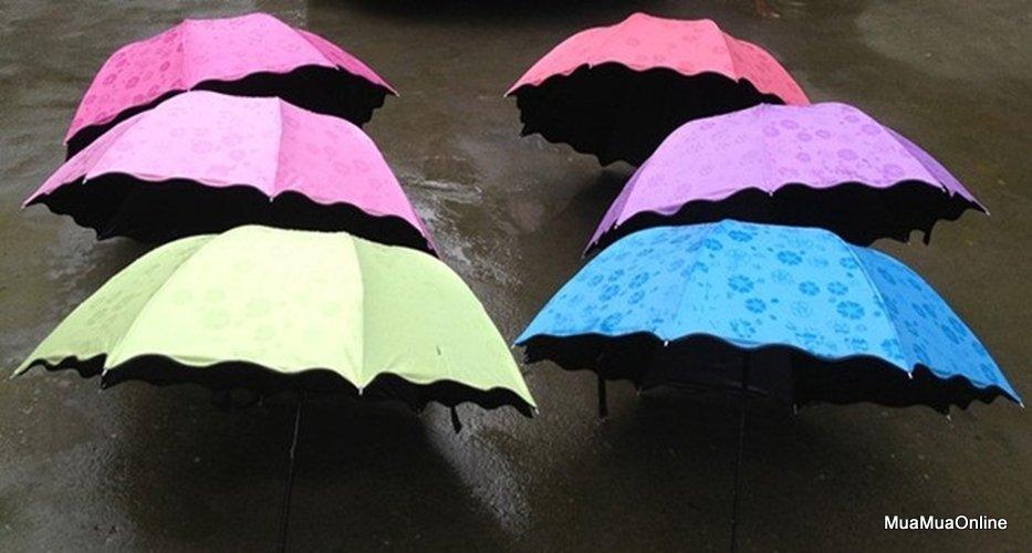 Dù Đi Mưa Nở Hoa Khi Gặp Nước Cao Cấp