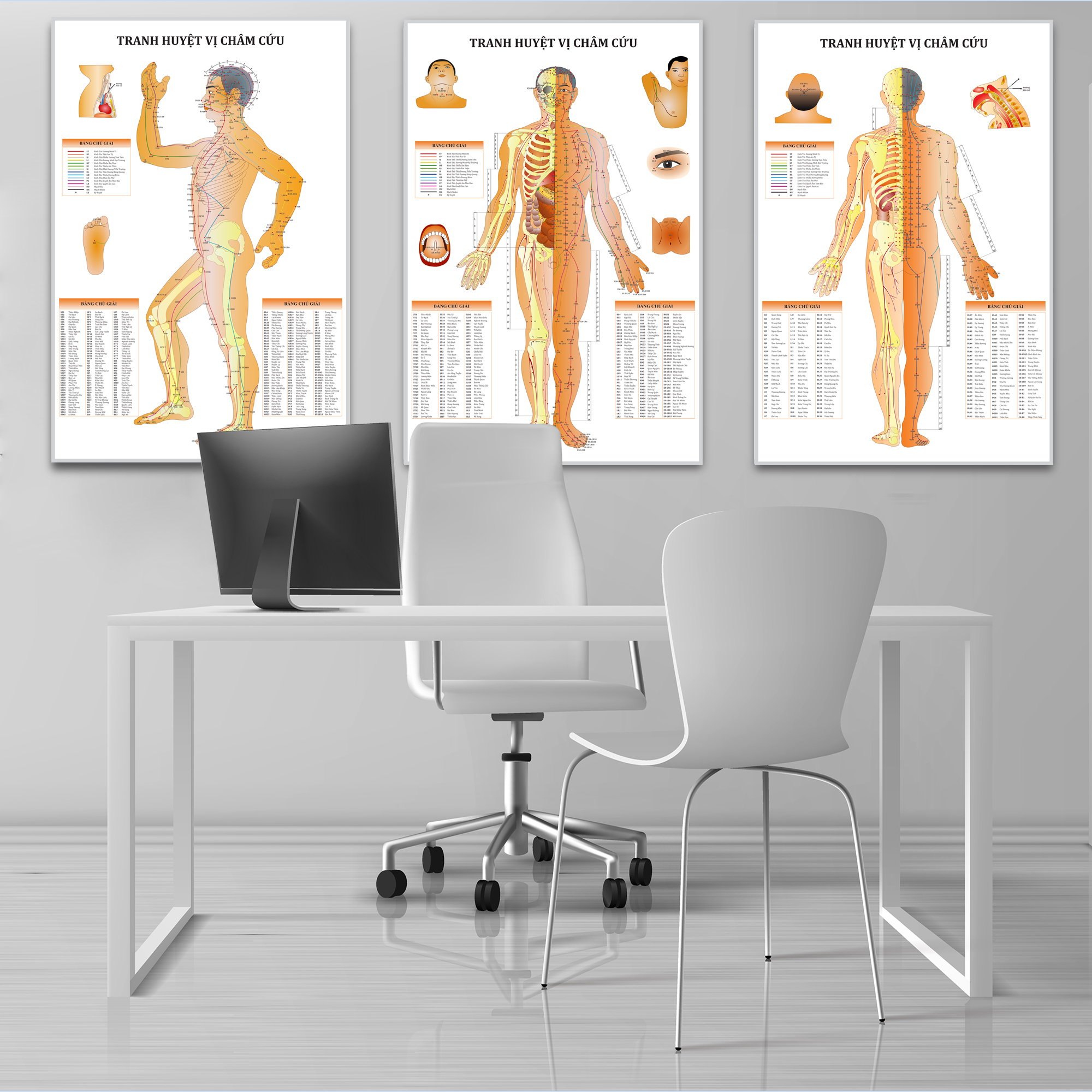 Tranh huyệt vị châm cứu - Mặt sau - 50x75cm - Decal dán