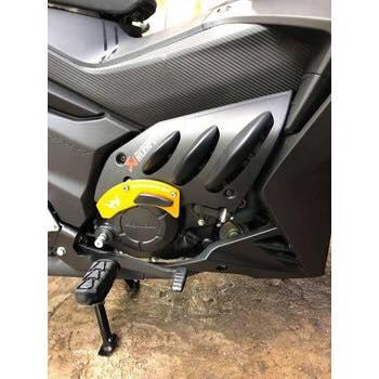 Ốp Sườn Winner 150 (Cánh gà)