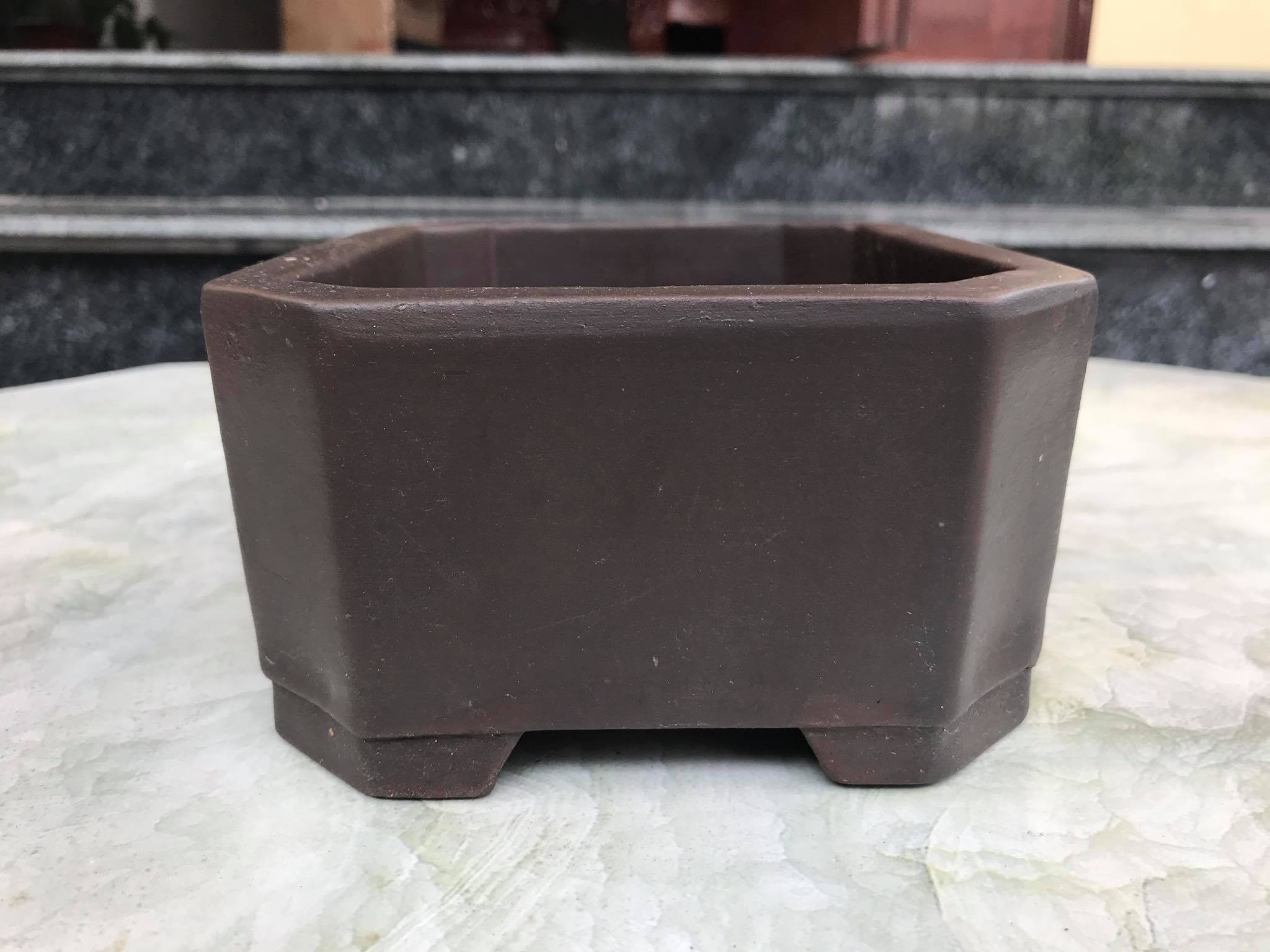 Ang (chậu) chữ nhật mini