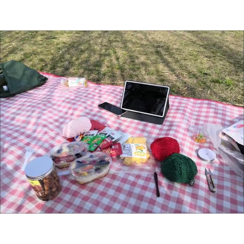 Thảm picnic thảm dã ngoại decor chống thấm