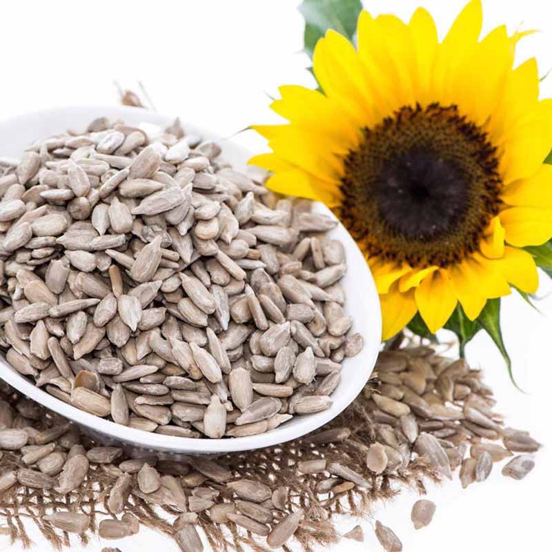 Nhân hạt hướng dương (Hộp 500G)