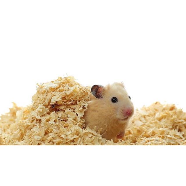 Thức Ăn Dinh Dưỡng Cho Hamster Nhiều Hạt Ít Cốm 500g