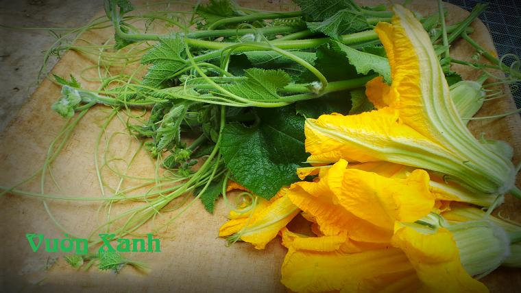 Hạt giống bí siêu ngọn 20gr