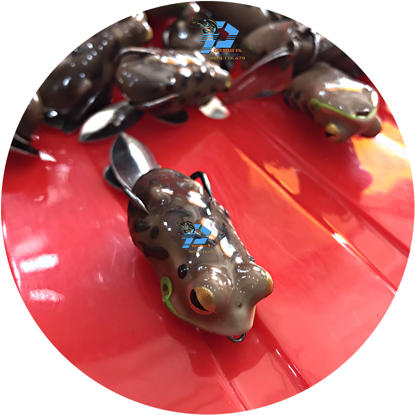 Nhái thái - frog toon V4