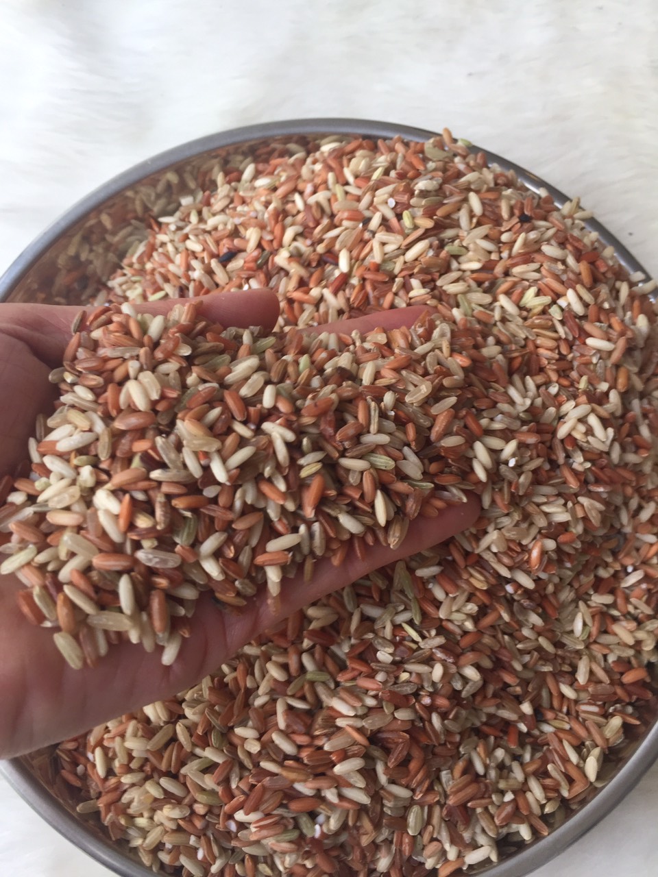 GẠO LỨT ĐỎ ĐIỆN BIÊN HÚT CHÂN KHÔNG (GÓI 2KG)
