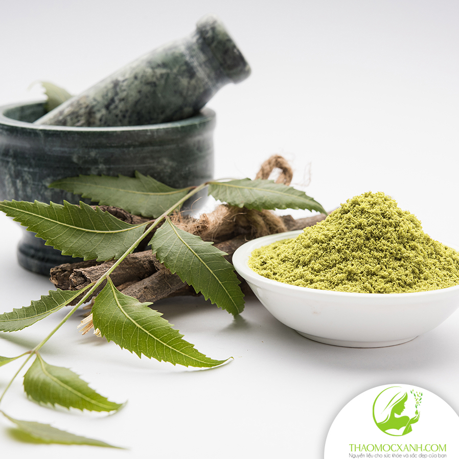 Bột Lá Neem Ấn Độ Túi 100gram