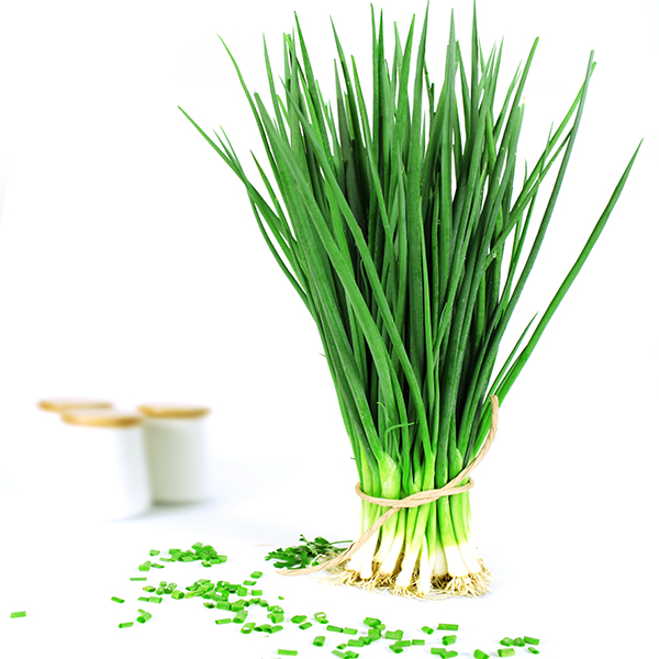 [Rẻ vô địch] [Ảnh thật] Hạt Giống Hành Lá - HẠT GIỐNG RAU THƠM