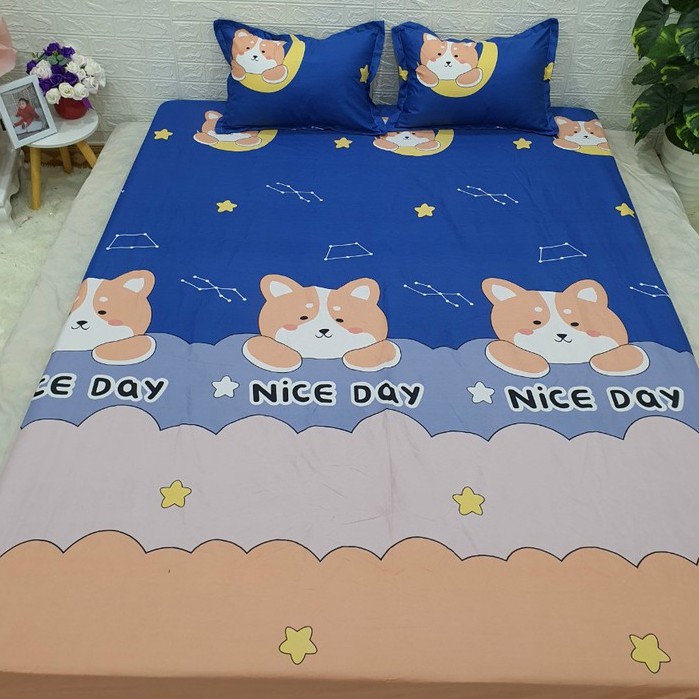 Bộ Ga Gối Cotton Poly mẫu Sư Tử Vàng