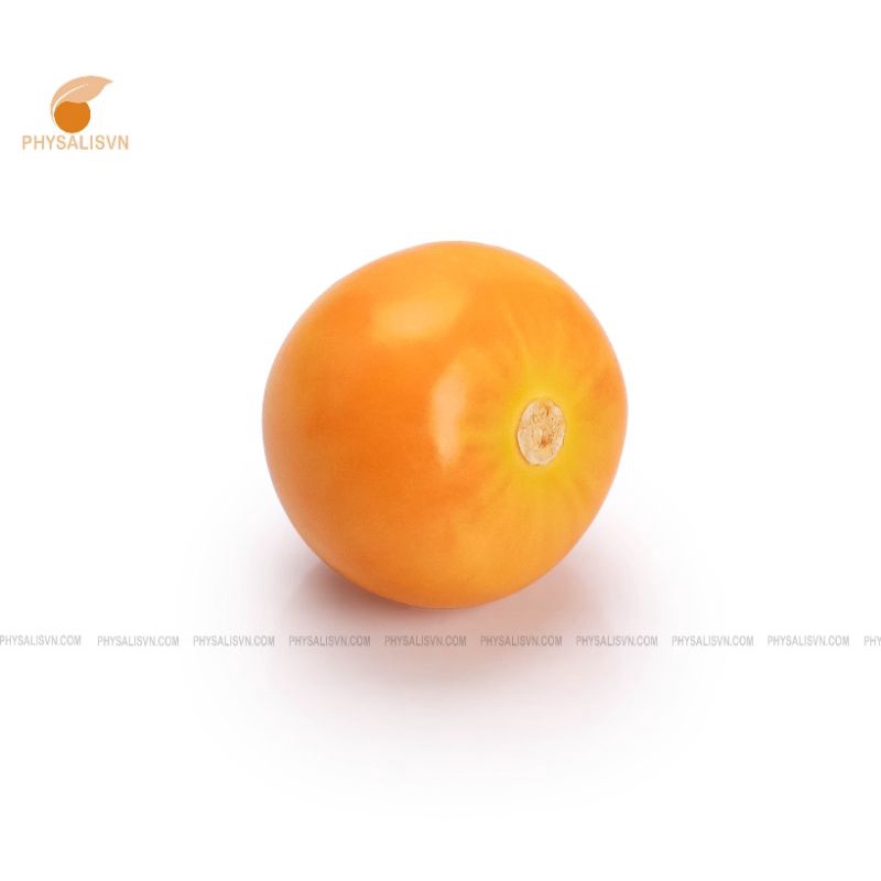 Trái Tầm Bóp-Thù Lù Nam Mỹ (Physalisvn) 1000g