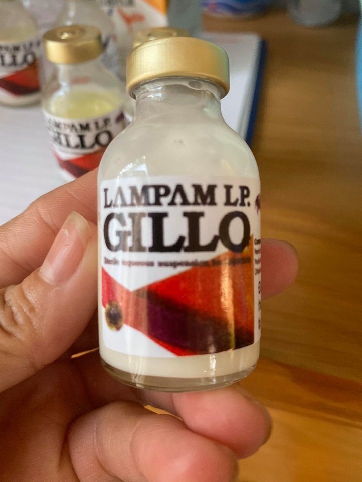 [HCM]GILLO LAMPAM CHAI CHIẾT 20ML