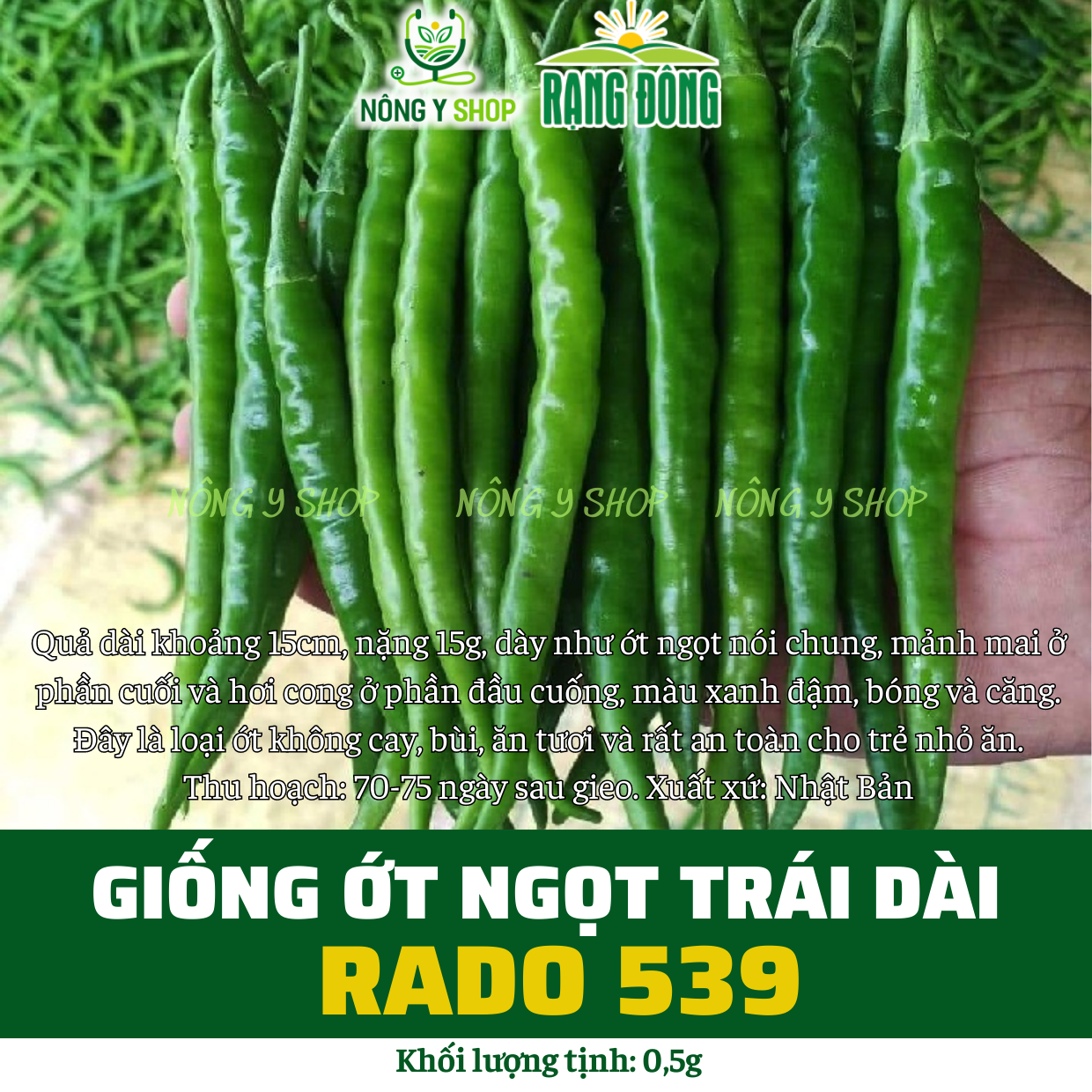 Hạt giống các loại ớt Rạng Đông, ớt chuông, ớt nhiều màu, ớt chỉ địa, ớt hiểm, ớt hàn quốc, ớt ngọt trái dài, xiêm xanh
