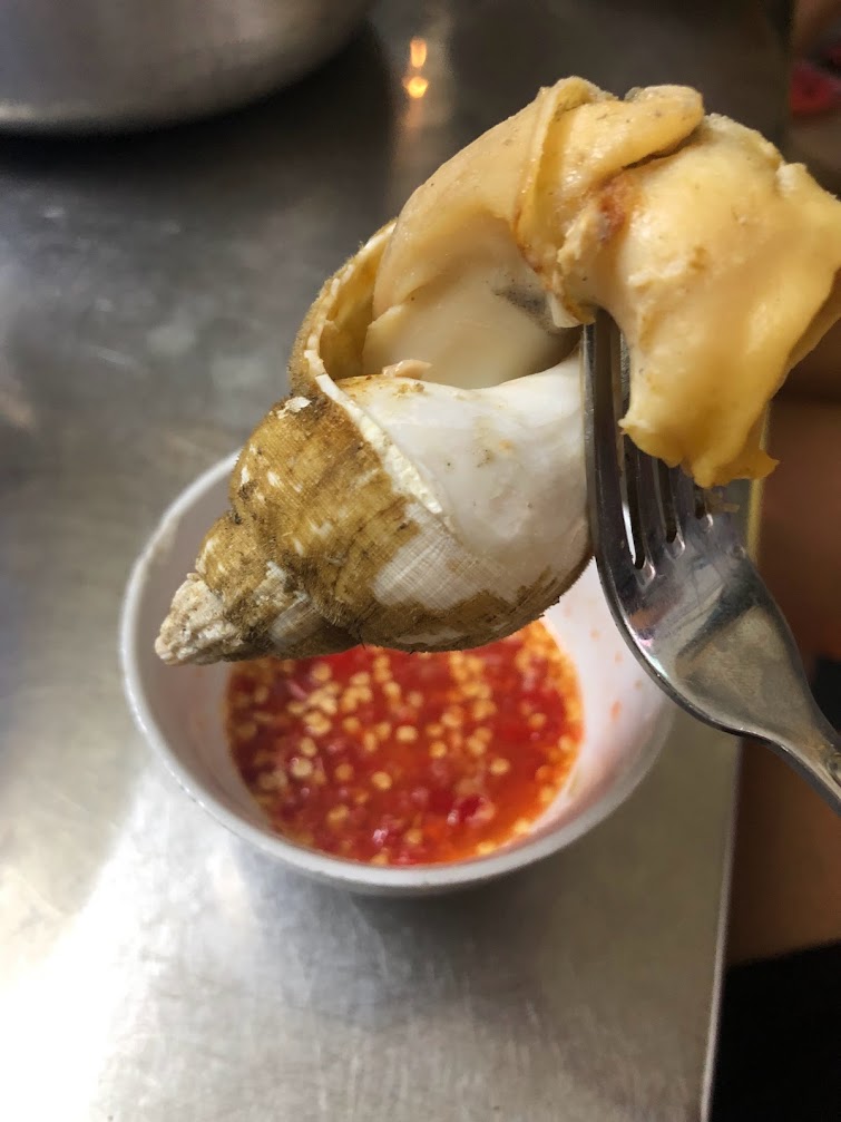 [CBC] Ốc Bulot Đại