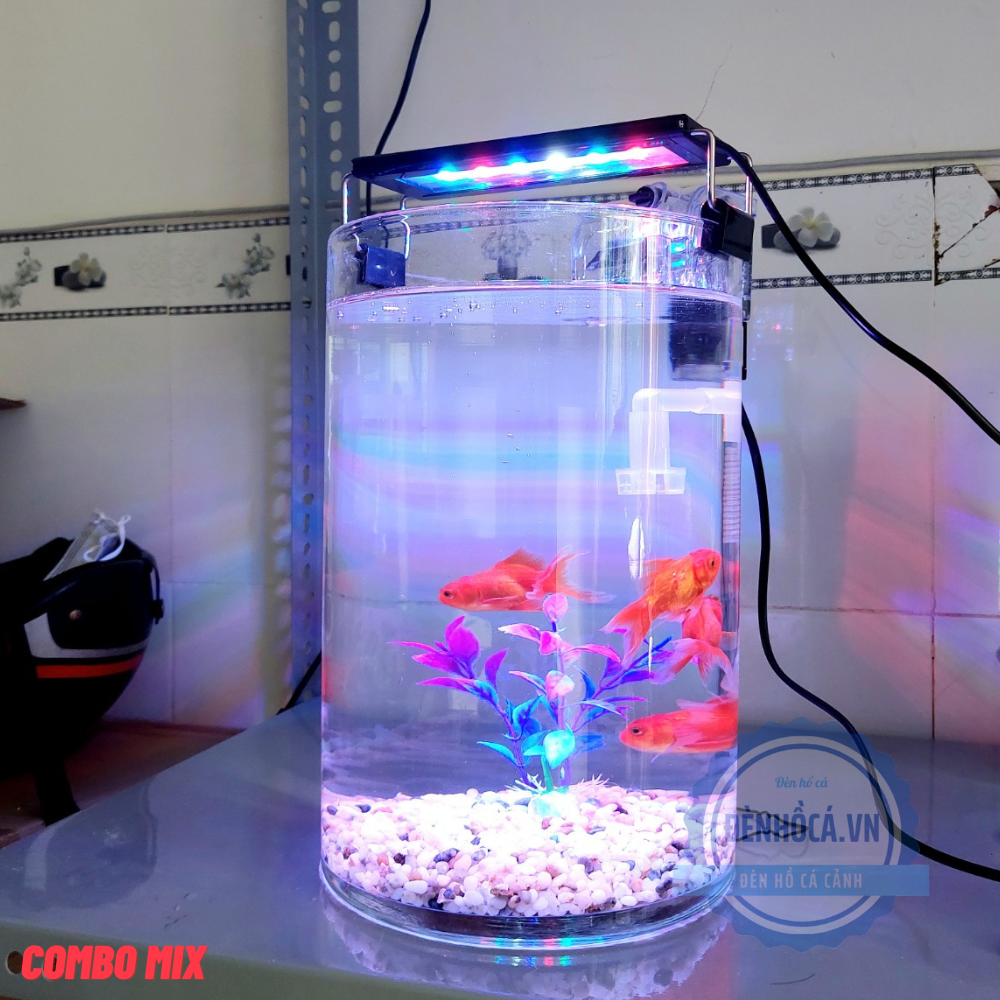Bể cá mini tròn D20-H30cm để bàn phong thủy