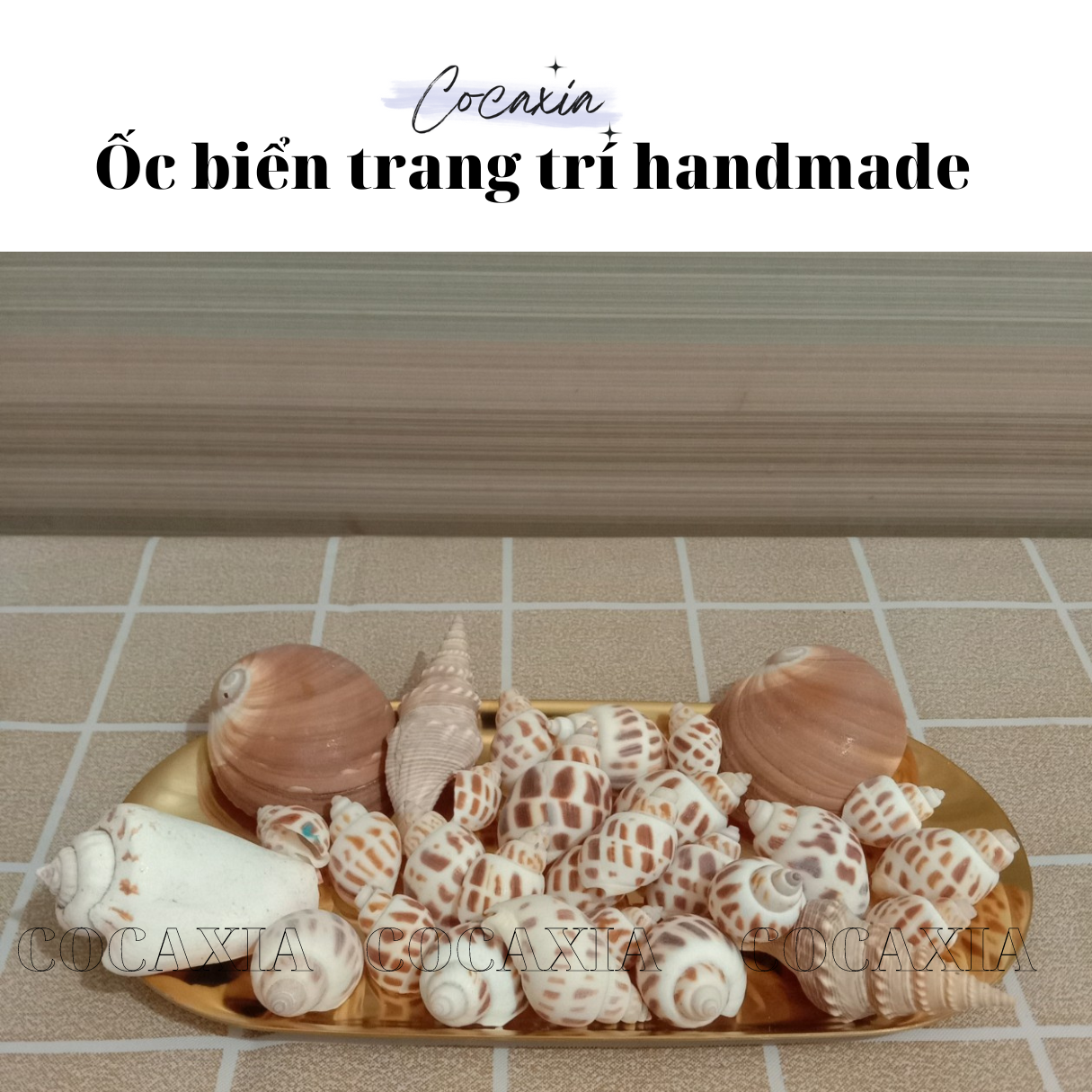 Handmade decorative sea shell, Gravel